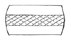 The Intervertebral Disc