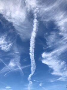Your Spine (in the clouds!)