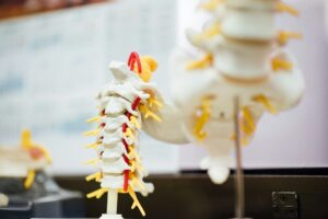 The Spine