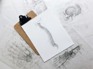 The Spine