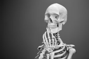 Chiropractors work on the neuromusculoskeletal system.